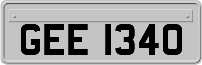 GEE1340