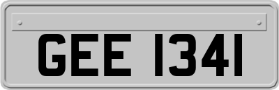 GEE1341