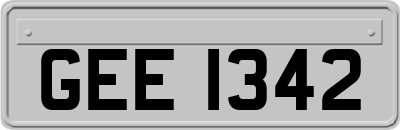 GEE1342