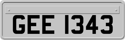 GEE1343