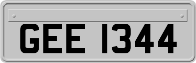 GEE1344