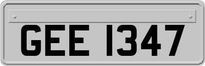 GEE1347