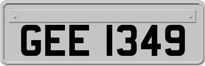 GEE1349