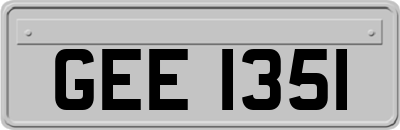 GEE1351