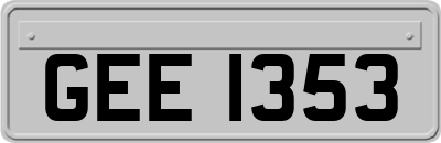 GEE1353