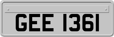 GEE1361