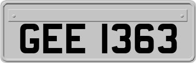 GEE1363