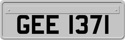 GEE1371
