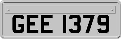 GEE1379