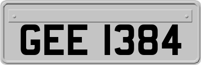 GEE1384