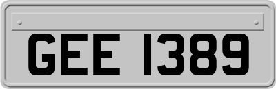 GEE1389