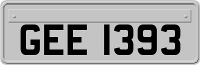 GEE1393