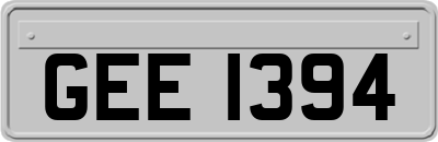 GEE1394