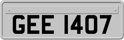 GEE1407