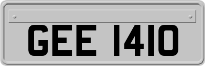 GEE1410