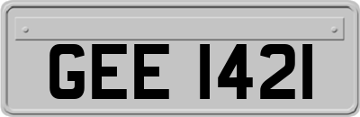 GEE1421