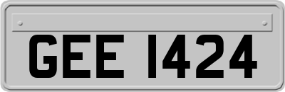 GEE1424