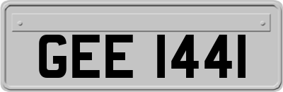 GEE1441