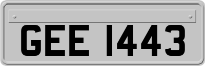 GEE1443