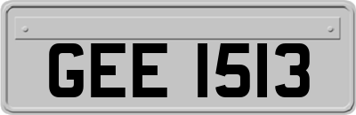 GEE1513