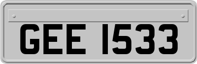 GEE1533
