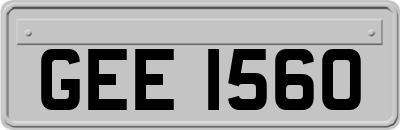 GEE1560