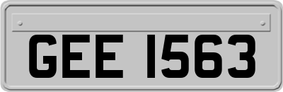 GEE1563