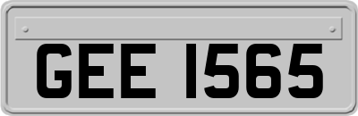 GEE1565