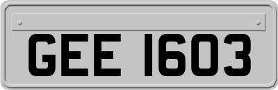 GEE1603