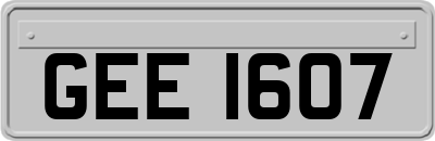 GEE1607