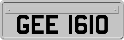 GEE1610