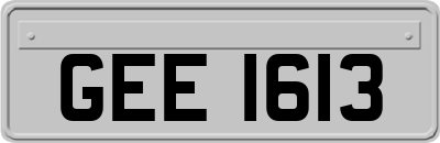 GEE1613