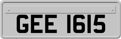 GEE1615