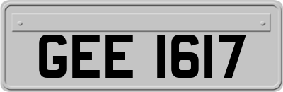 GEE1617