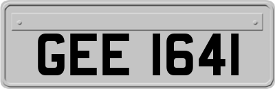 GEE1641