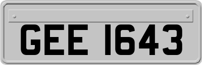 GEE1643
