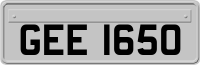GEE1650
