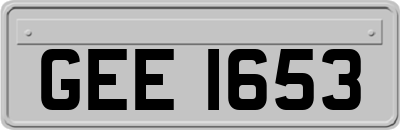 GEE1653