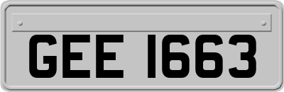 GEE1663