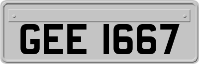 GEE1667