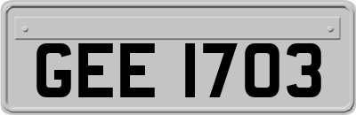 GEE1703