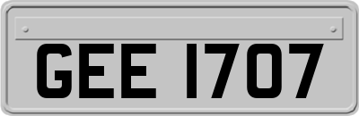 GEE1707
