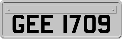 GEE1709