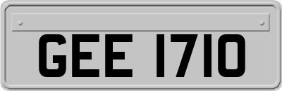 GEE1710