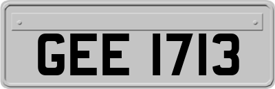 GEE1713