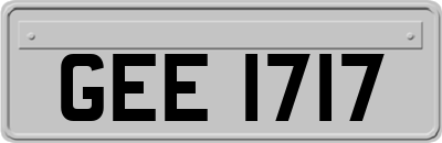 GEE1717