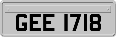 GEE1718