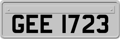 GEE1723