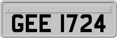 GEE1724