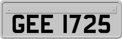 GEE1725